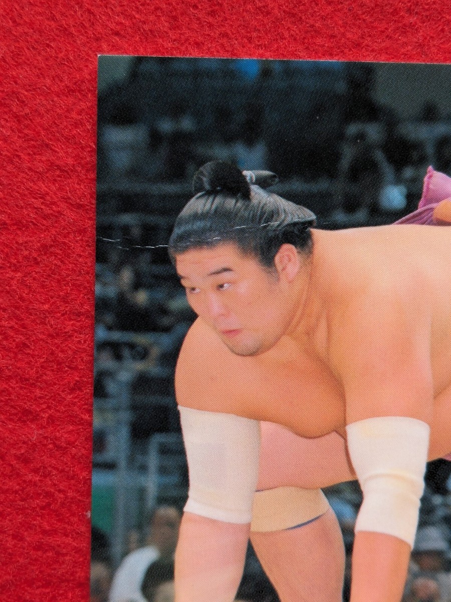 MASATSUKASA KOSHIN JAPAN SUMO TRADING CARD BBM 2010 No.43 Japanese