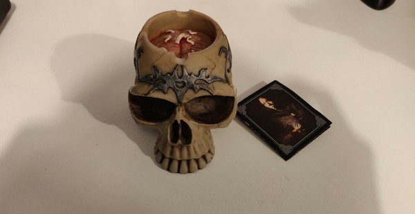 Calavera Ted Suluepe