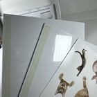 Foto 9 di 19