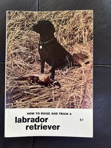 How To Raise And Train A Labrador Retriever By Stan Henschel 