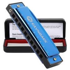 Blue 10 Holes 20 Tunes Blues Harp Mouth Organ Diatonic Harmonica Key C