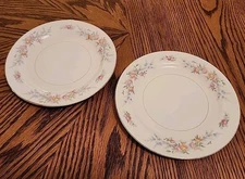 HOMER LAUGHLIN FERNDALE SET OF 2 ROUND SALAD PLATES!  1940s 