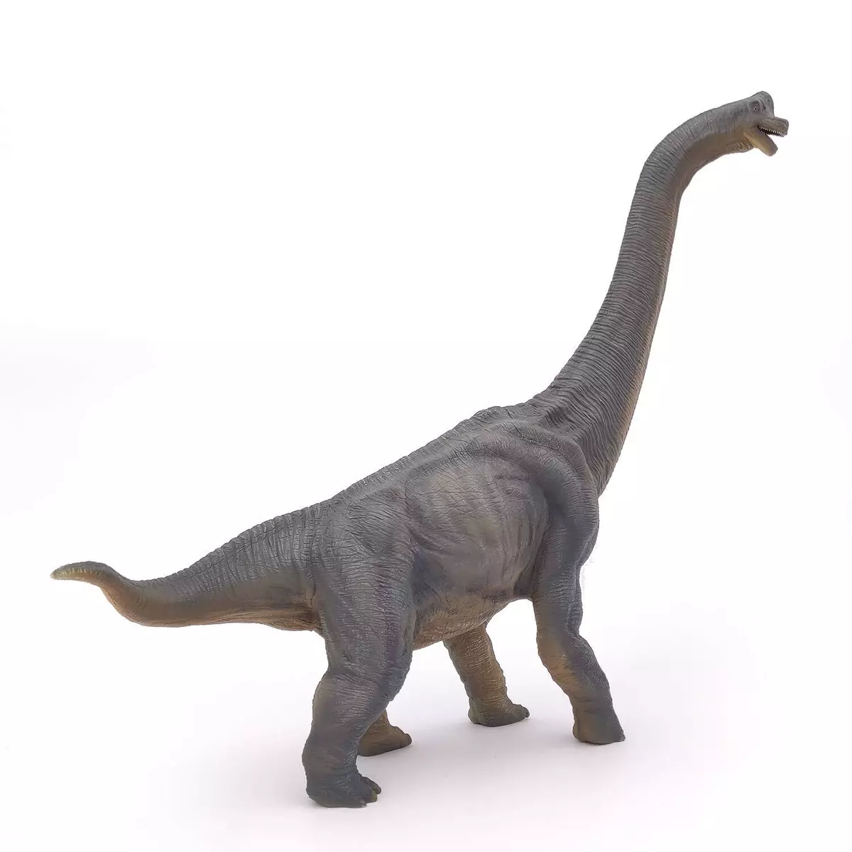 Papo the on sale dinosaur figure