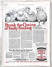 1926 magazine ad for Chamberlain Chick Feed - Break chains of Faulty Feeding