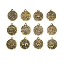 Bronze Zodiac/Astrology Coin Charm Set, 20x17mm - US Seller