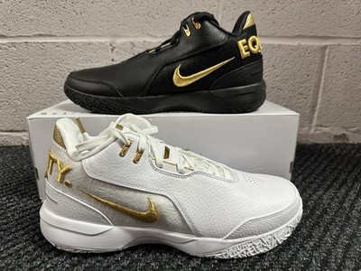 Size 12 - Nike Zoom Lebron NXXT Gen AMPD ''Equity'' Basketball Shoes FJ1566-103