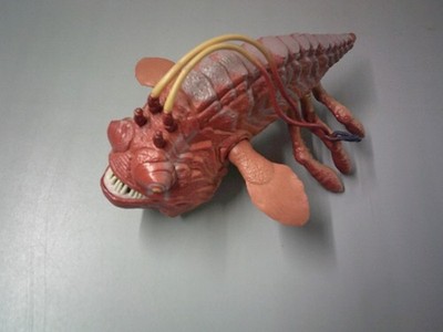 1998 Star Wars Episode 1 Opee Sea Killer Monster Fish Figurine