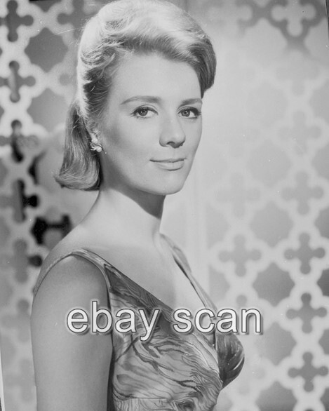 INGER STEVENS BEAUTIFUL PORTRAIT 8X10 PHOTO img826 | eBay