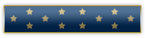 New "BLUE MEDAL OF HONOR" Citation Bar Lapel Pin