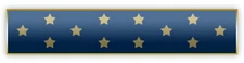 New "BLUE MEDAL OF HONOR" Citation Bar Lapel Pin