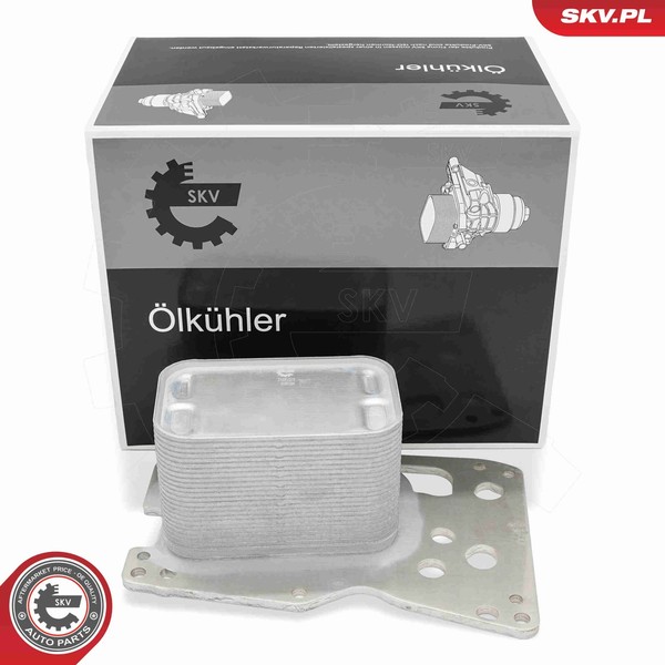 ÖLküHler MotoröL Esen SKV 31SKV378 FüR BMW 5Er F10 Touring F11 Turismo F07 7Er-image