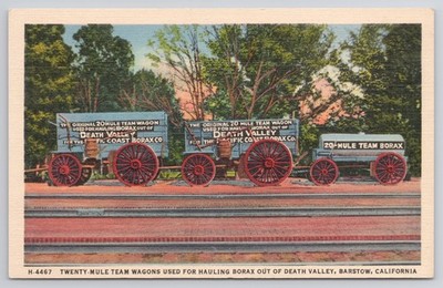 c1930s Borax 20 Mule Team Wagons Fred Harvey Desert Postcard Barstow CA b22077