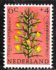 HICK GIRL-MINT NETHERLANDS STAMP   SC#B344  1960  FLOWER ISSUE   C778