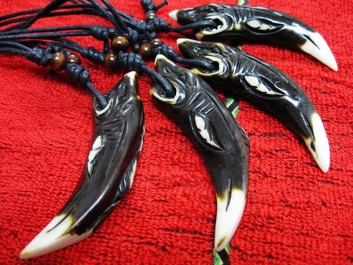 costruzione navale somma saggio dente di squalo collana Perpetuo consenso staser