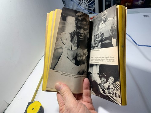 PB A Raisin In The Sun & The Sign In Sidney Brustein's Window LORRAINE HANSBERRY - Picture 14 of 19