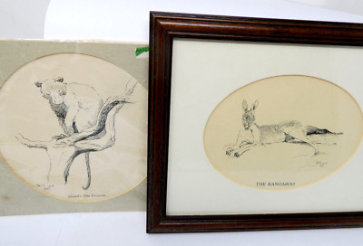 2x CECIL ALDIN Prints - THE KANGAROO & BENNETT'S TREE KANGAROO