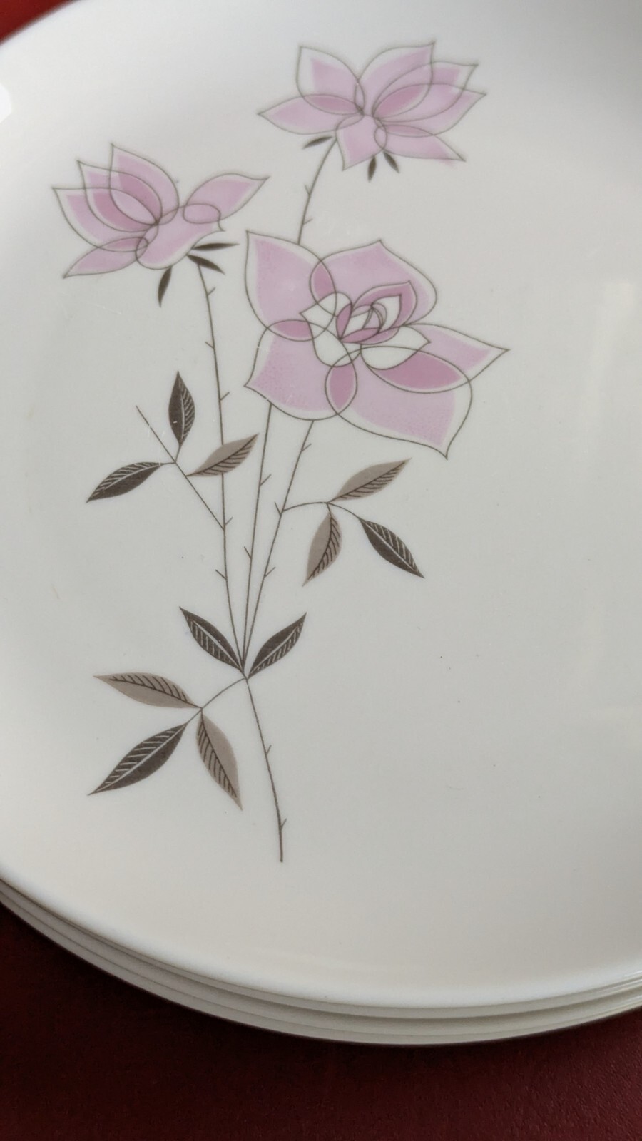 Picture 13 of 17