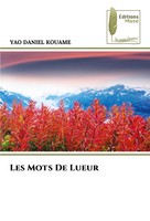 Yao Daniel Kouame | Les Mots De Lueur | Taschenbuch | FranzöSisch (2024)
