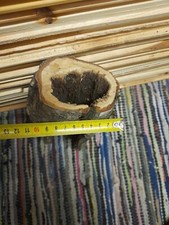 Birke Holz Drechseln Edelholz SELTEN angeboten