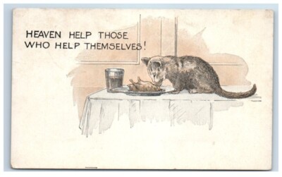 Heaven Help Those Cat Kitten Themed Vintage Postcard Divided Back 1920 Posted