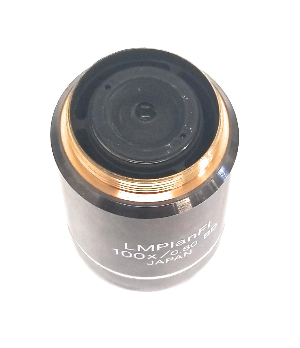 Olympus LMPlanFL 100X/0.80 BD ∞/0 Microscope Objective Brightfield ...
