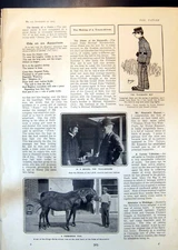 Old School Tram Drivers Foal Son Kings Derby Winner Alaska Broken Up1