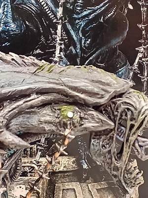Alien VS Predator Model Number Alien Queen Palisades japan japan