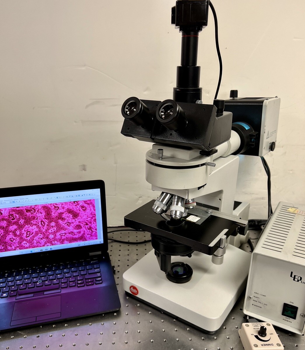 Leitz Leica Dialux 20 Fluorescence Microscope With LED upgrade | eBay