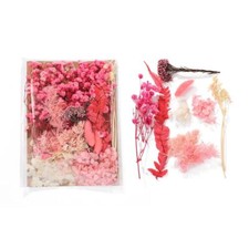 Real Dried Flowers for Crafts Natural Dry Flowers for Crafts Mixed Natural Pr...