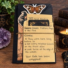 Blind Date with a Book: Witch Edition   Mystery Book  Tarot Reading 002