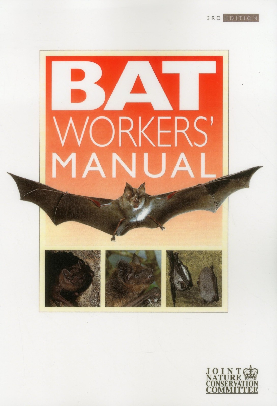 Bat Workers' Manual by Mitchell-Jones