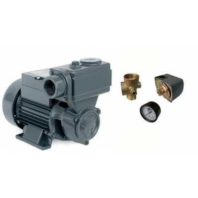 Wasserpumpe 750W 50 l/min Druckschalter Manometer ...