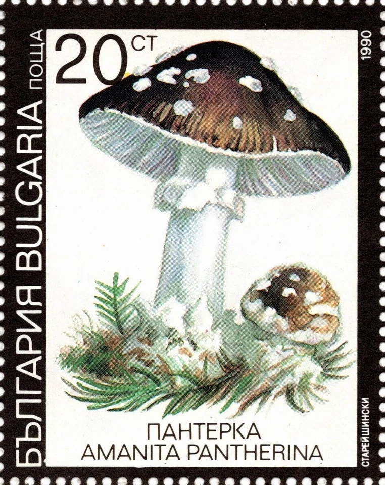 BULGARIA 1991 FECHA 1990 SETAS HOJA DE SEIS SELLOS CON PESTAÑAS SCOTT 3602a MNH Foto 4 de 4