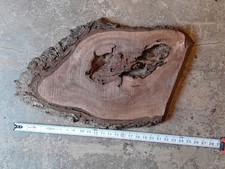 1 Inch Walnut Burl Slice