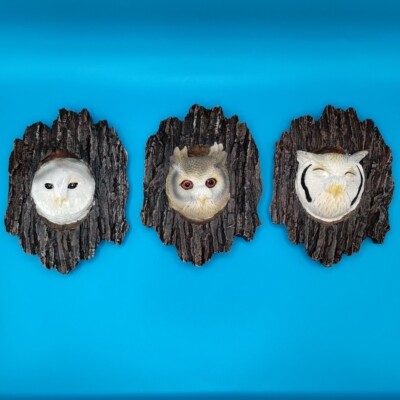 Sculpted Resin Owl Faces In Faux Tree Bark Wall Plaques Hangings Set Of 3 Owls 