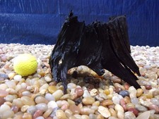 X-Small Driftwood 05"x07"x03" Aquarium Terrarium Reptile Natural Art