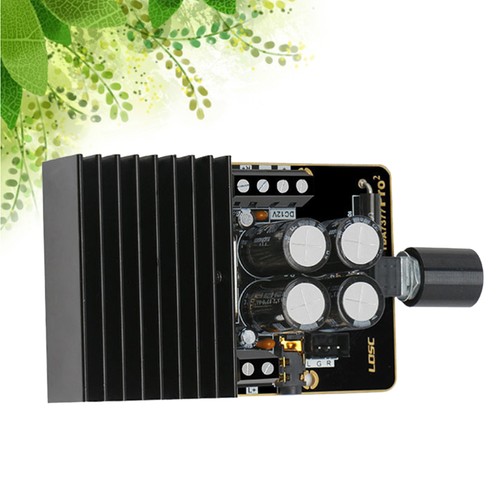 Scheda Amplificatore 12V Potenza Home Audio Modulo Frequenza Vocale - Foto 6 di 12