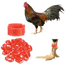 50-Pack Adjustable Chickens Leg Bands, 17-22 mm Plastic Chicken Leg Rings Red