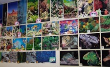 PET SUPPLY INVENTORY 153,000 list price