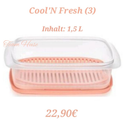 Tupperware Cool N Fresh 1,5L Set ( 3 )  Wurstbehälter Kühlschrank Box Lachs NEU
