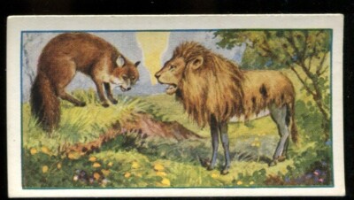 Tabakkarte, Gallaher, AESOPS FABELN, 1931, Der Esel im Löwenfell, #9