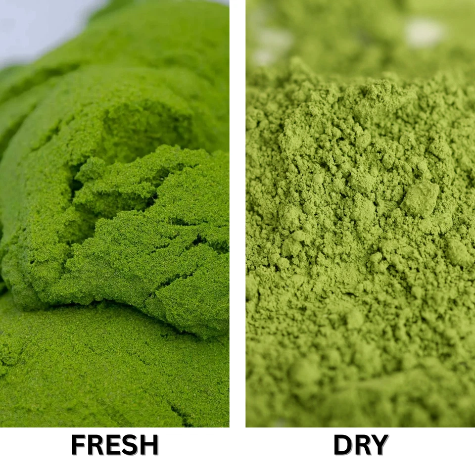 Pure Wolffia Globosa Powder Plant Based Superfood - 40% Protein Content, Non GMO - Image 3 of 4