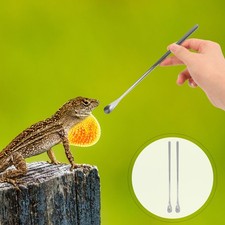 2 Pcs Reptile Food Feeding Spoon Small Animal Lizard Feeder Frog