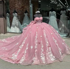 Princess Pink Quinceanera Dresses with White Flowers Sweet 15 16 Ball Gowns