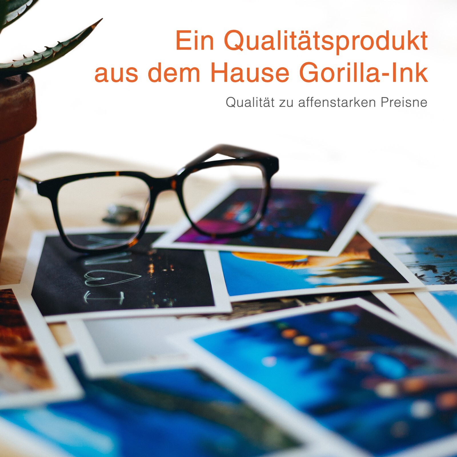 Bild 5 von 8