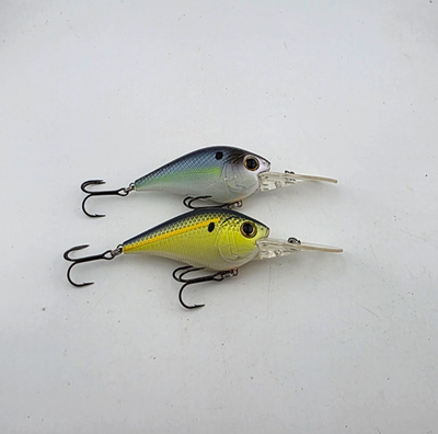 best fishing lures upstate ny Livingston Lures Big Makk Surface Bait Disco Shad