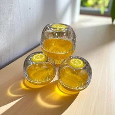 Geiserailie 6 Pc Lemon Storage Containers/ Lemon Saver