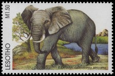 LESOTHO 1093d - African Elephant 