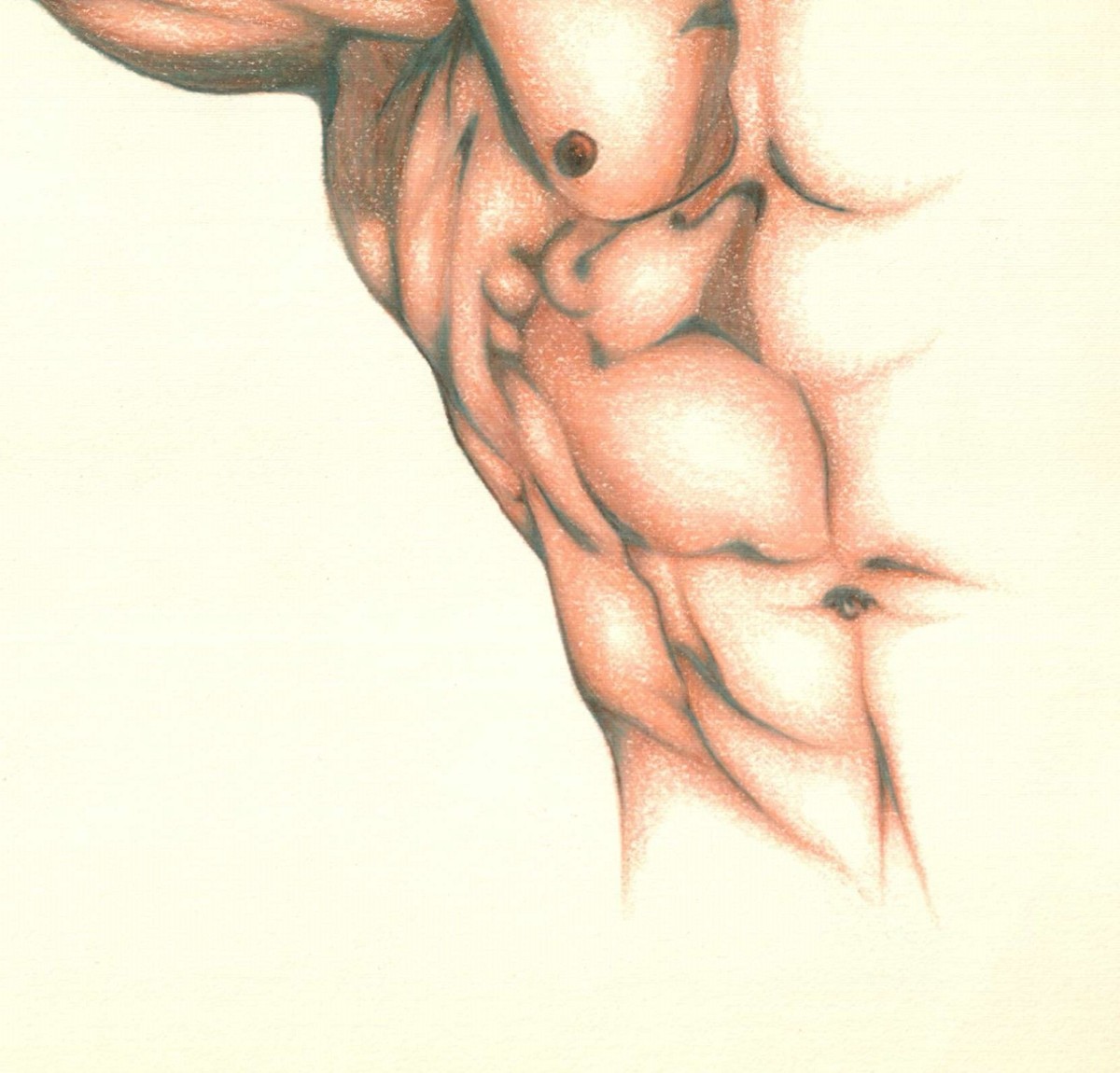 Bodybuilding Pencil Drawing