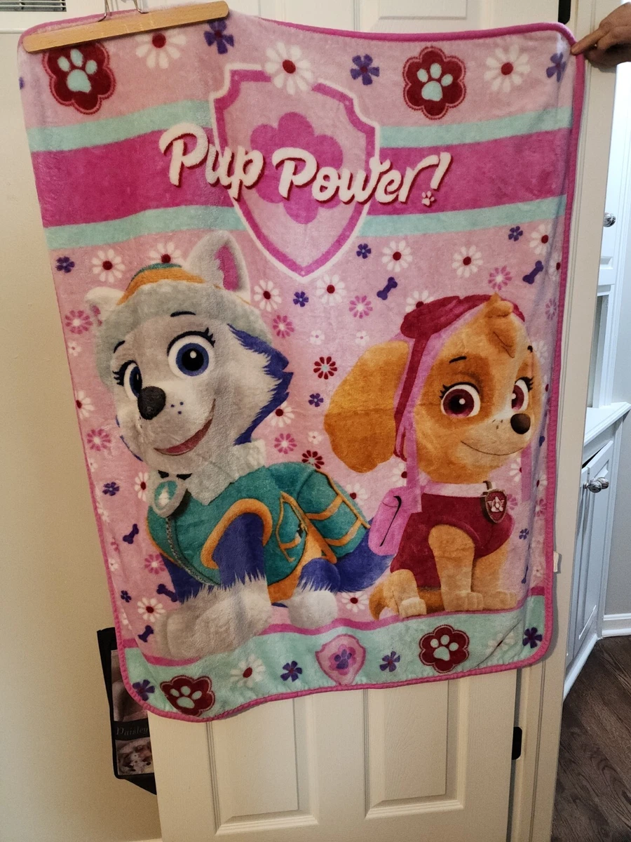 Paw patrol blanket skye sale